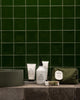 Quintessential Skin Quartet